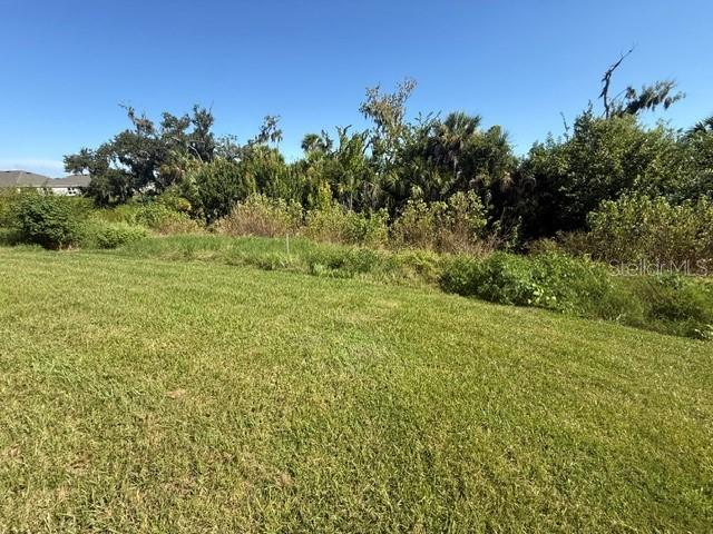 4321 SILVER BIRCH CT — photo 10