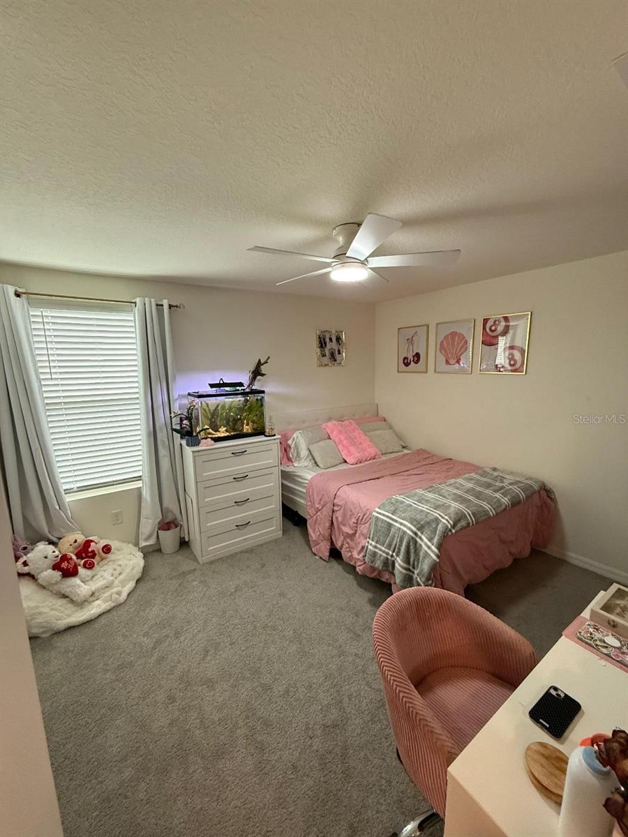 10662 CHIPPEWA DR — photo 21
