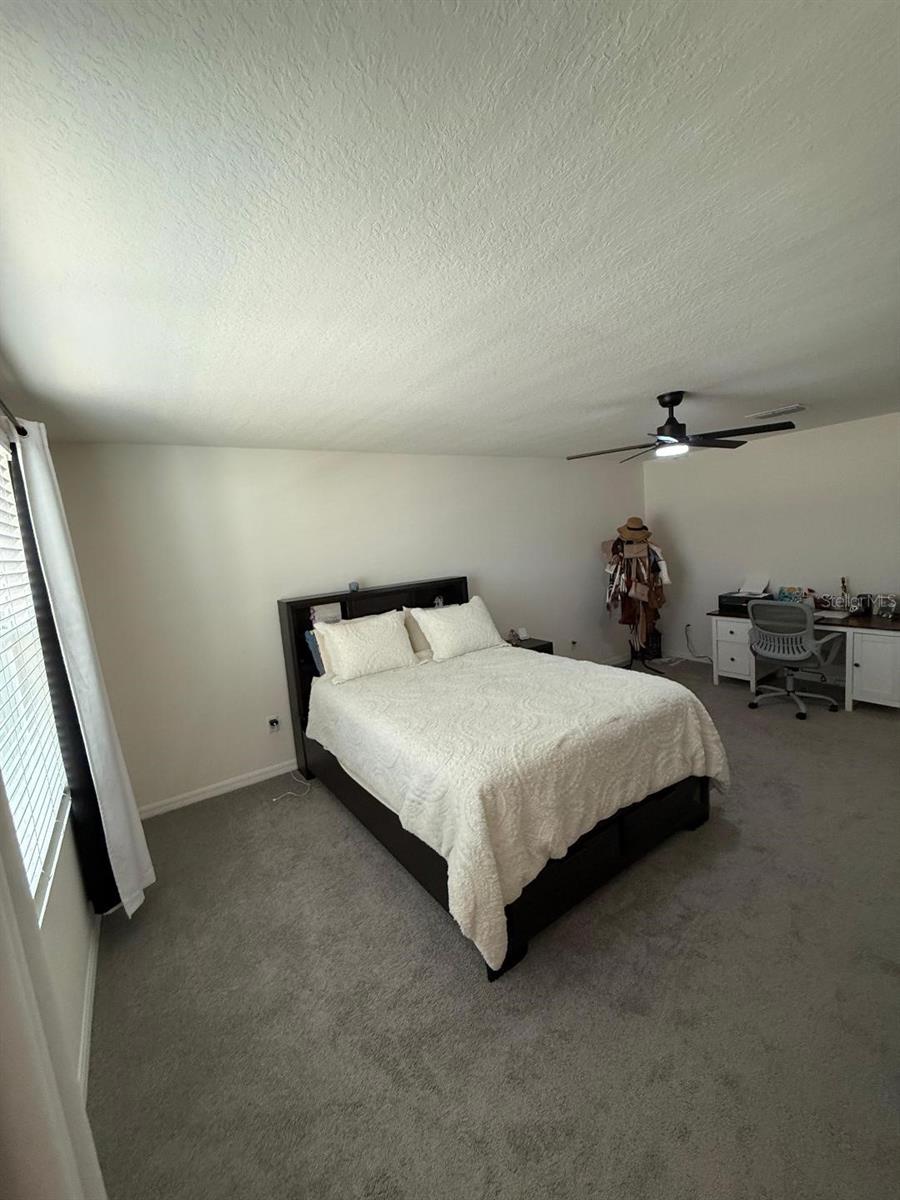10662 CHIPPEWA DR — photo 19