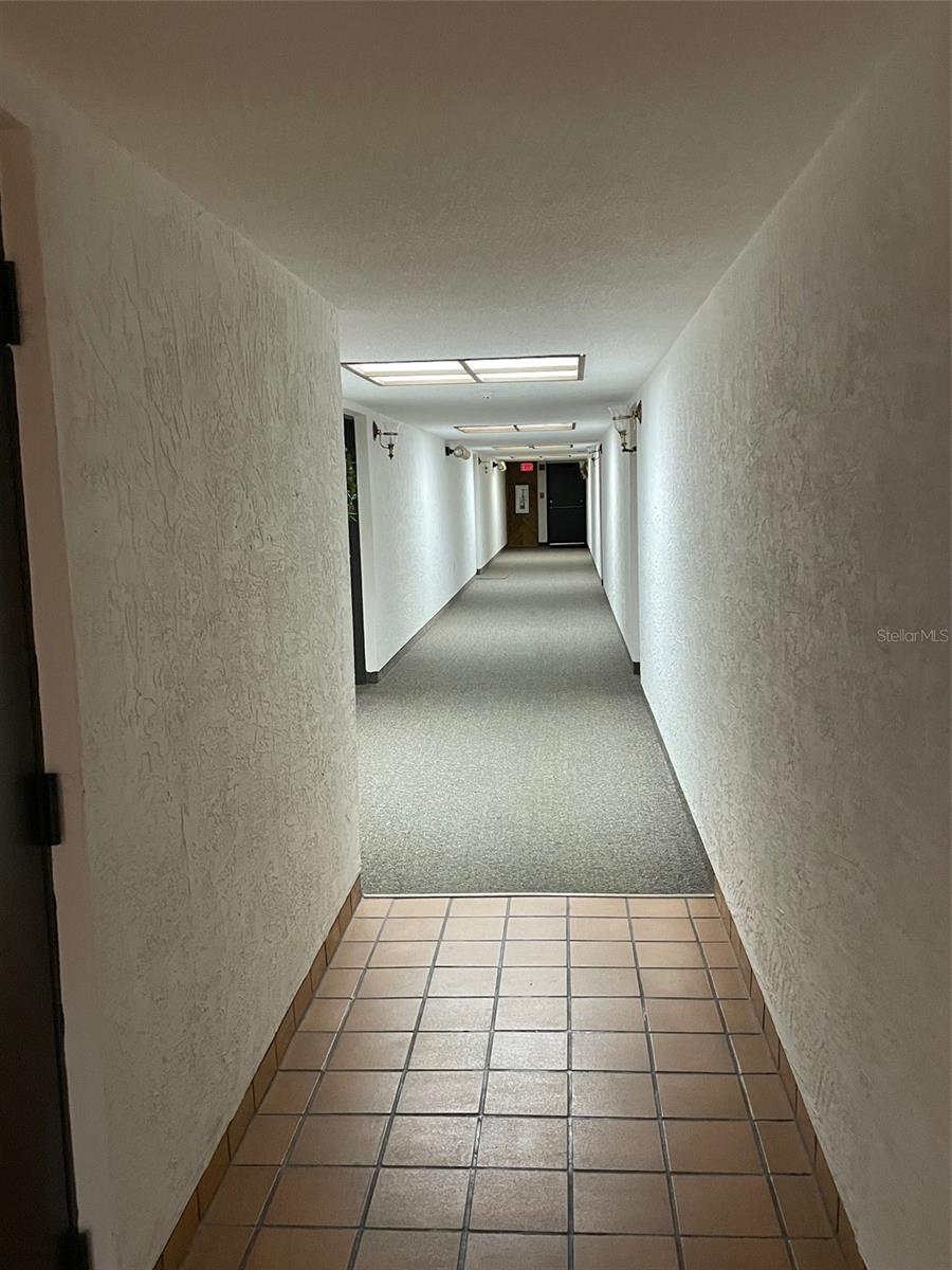 2591 COUNTRYSIDE BLVD #5203 — photo 5