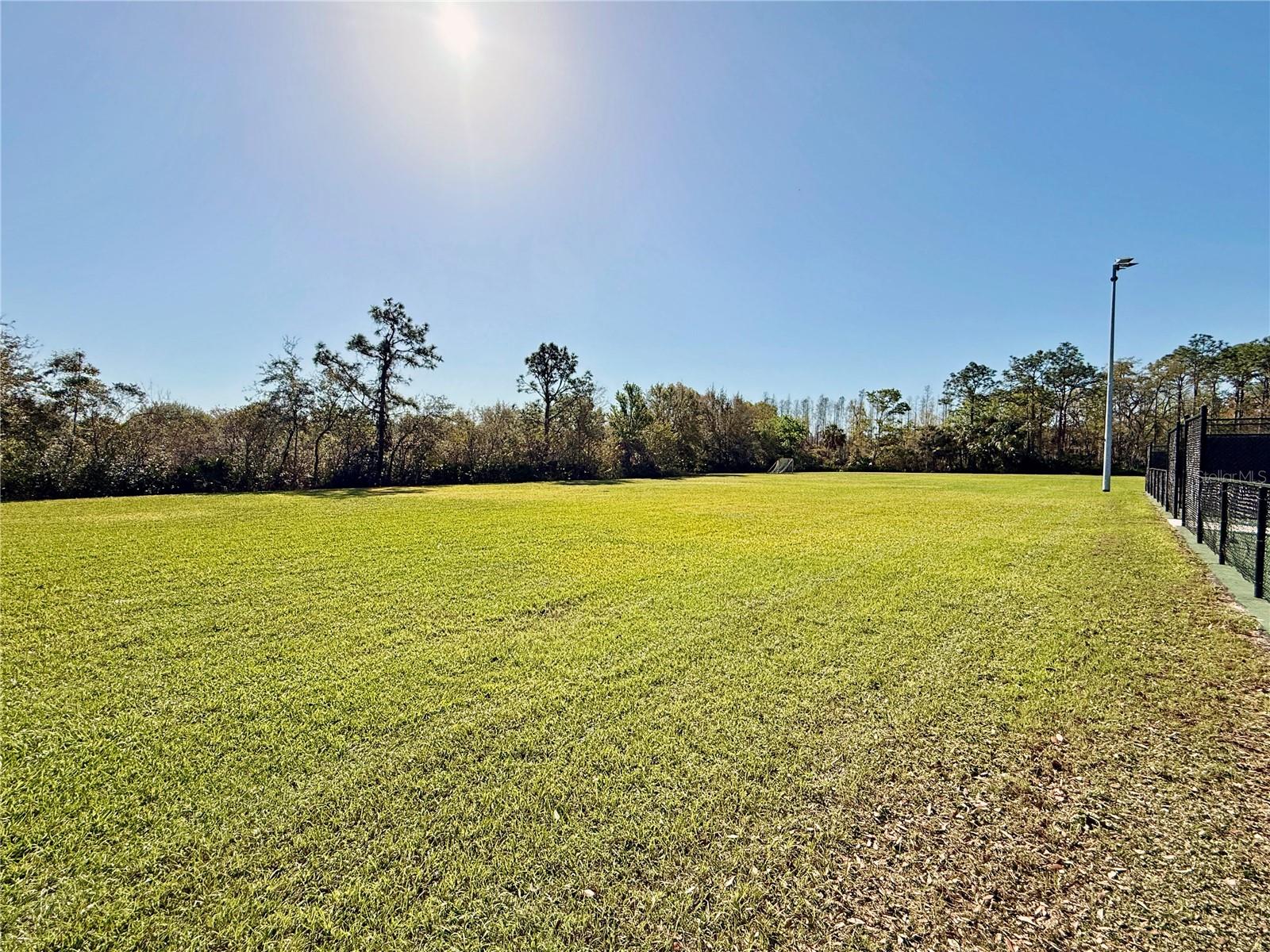 8212 CYPRESS BREEZE WAY — photo 74