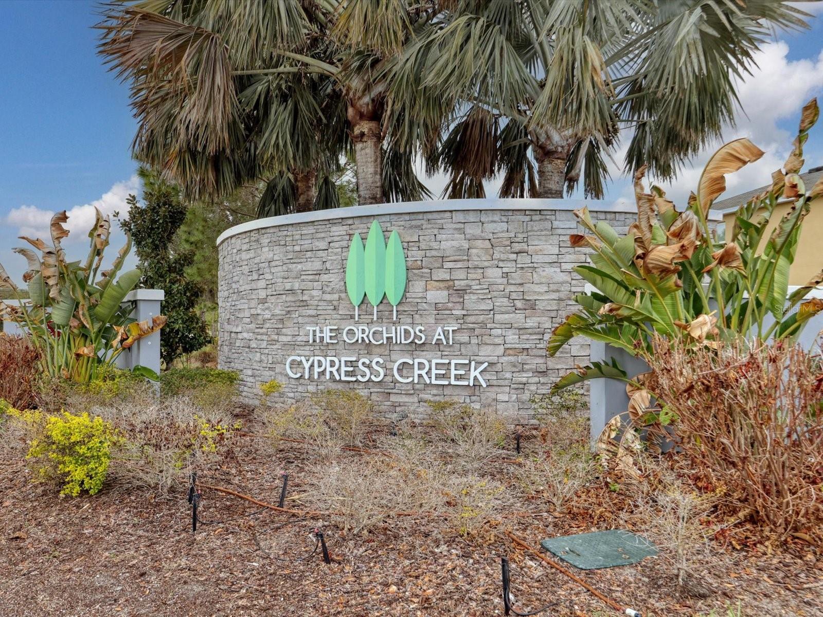 10003 GEESE TRAIL CIR — photo 2