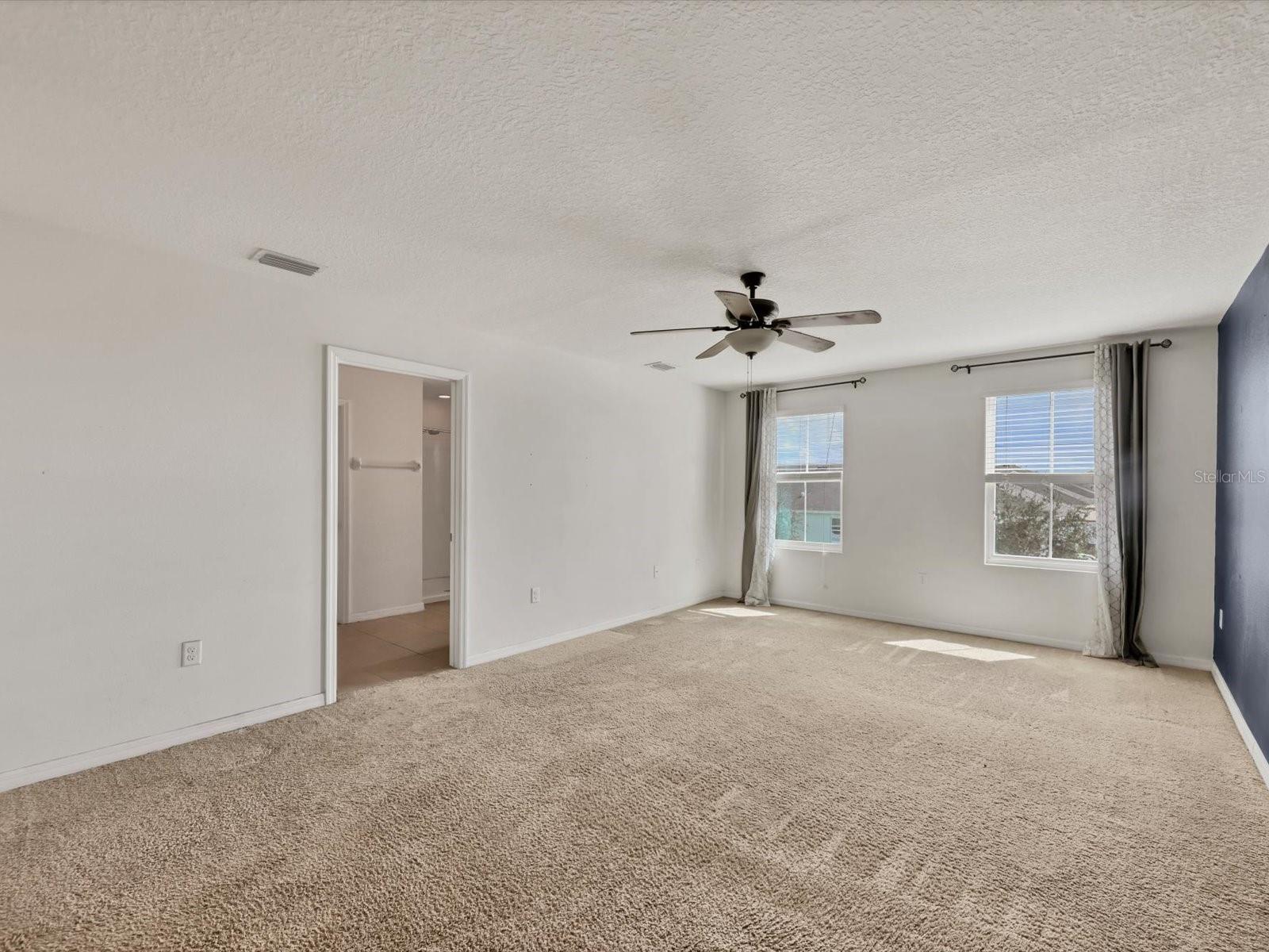 10003 GEESE TRAIL CIR — photo 29
