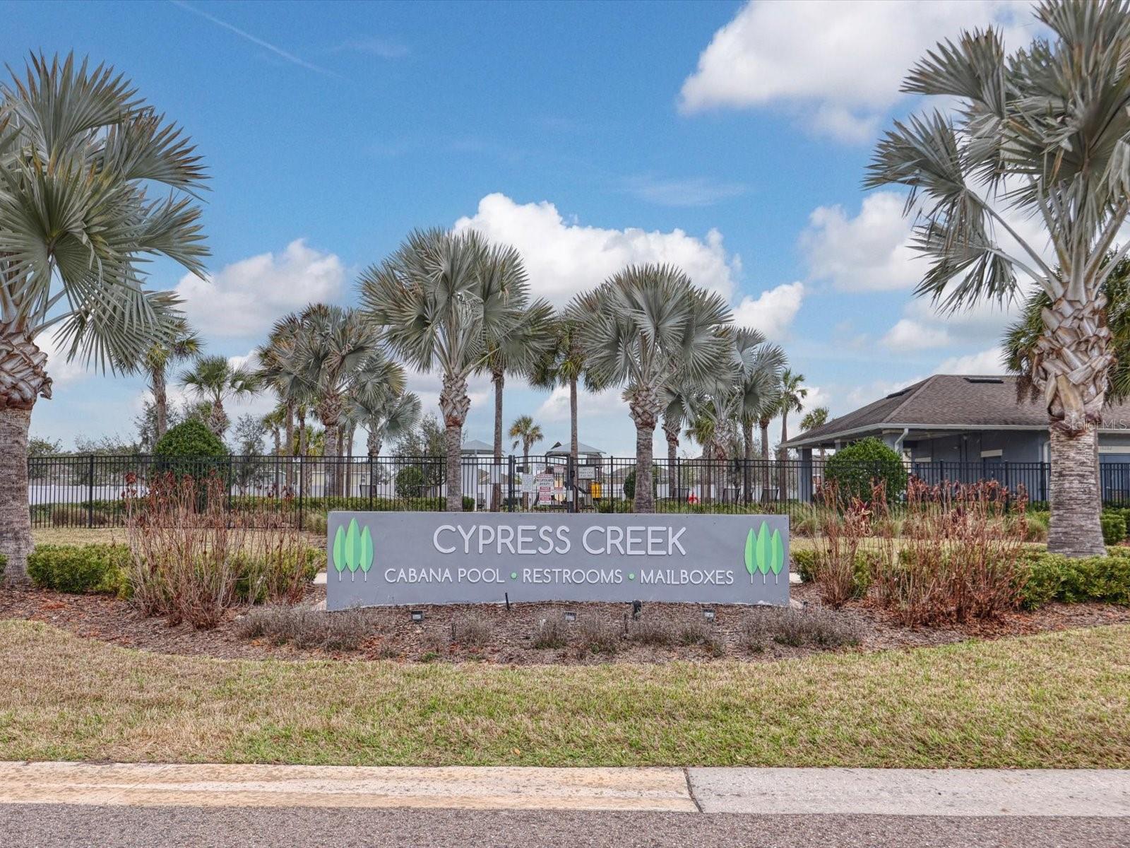10003 GEESE TRAIL CIR — photo 51