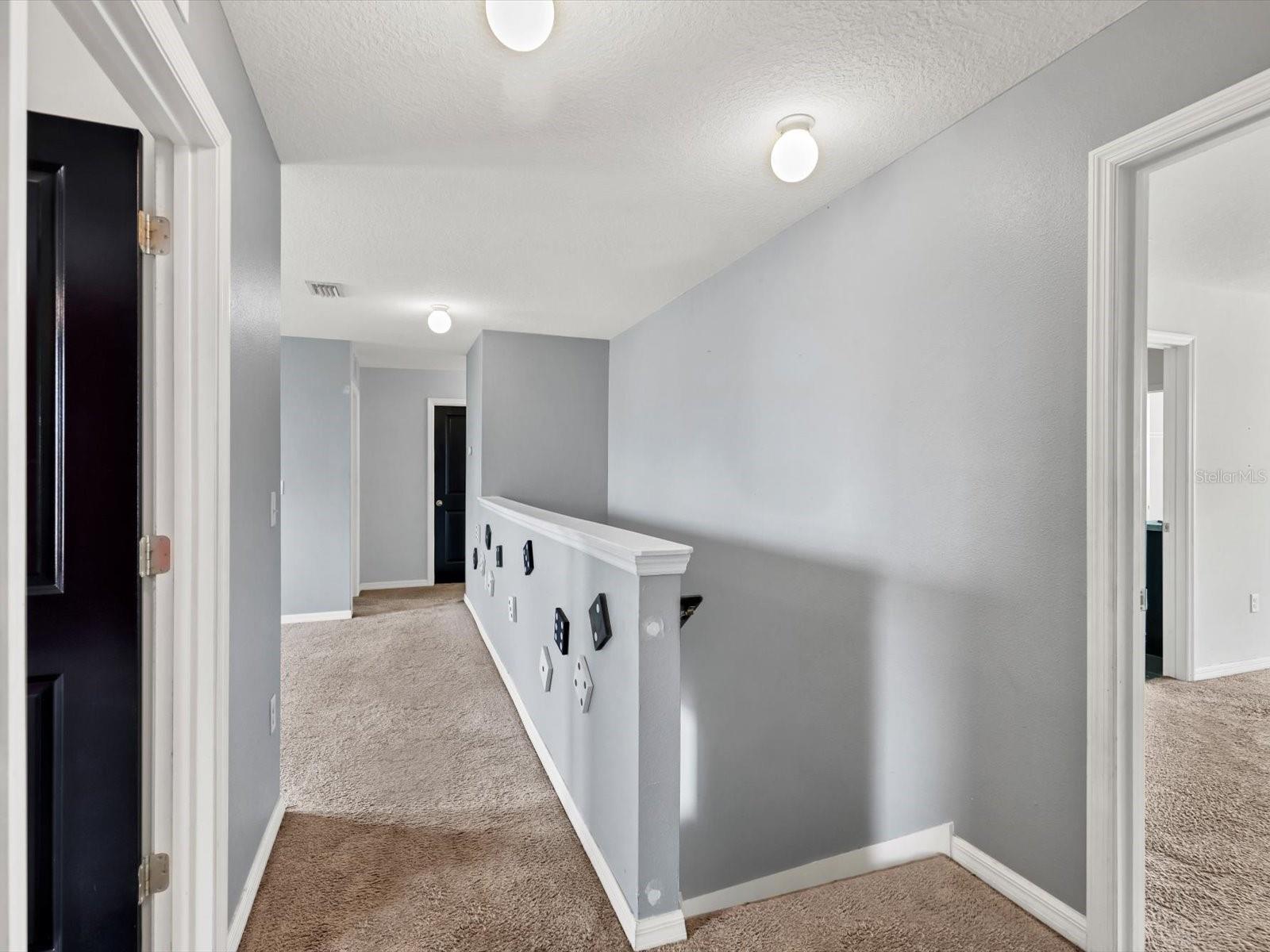 10003 GEESE TRAIL CIR — photo 25
