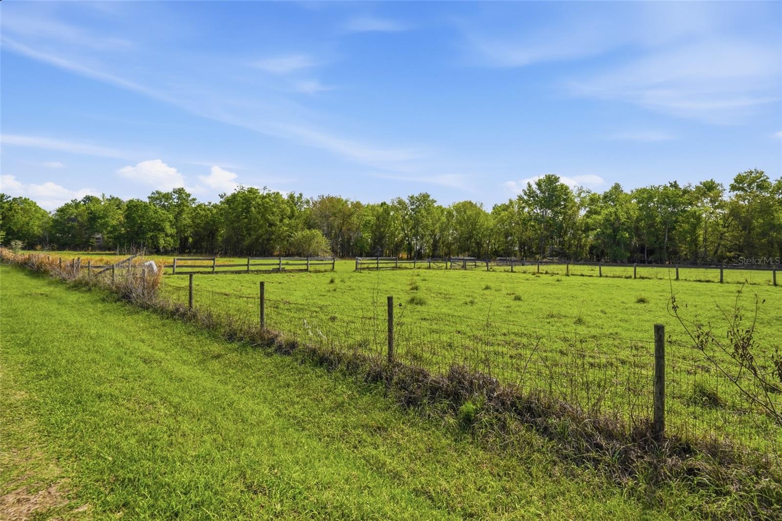 32400 TAYLOR GRADE RD — photo 10
