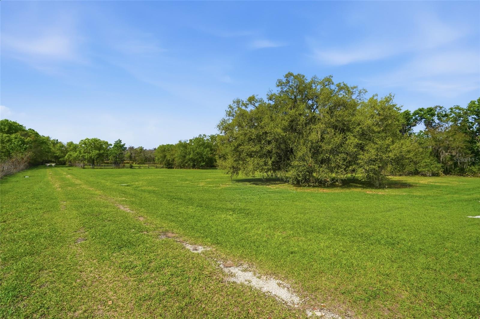 32400 TAYLOR GRADE RD — photo 5