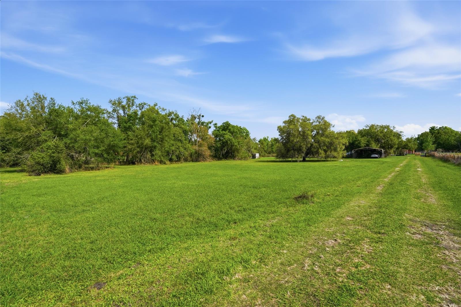 32400 TAYLOR GRADE RD — photo 8