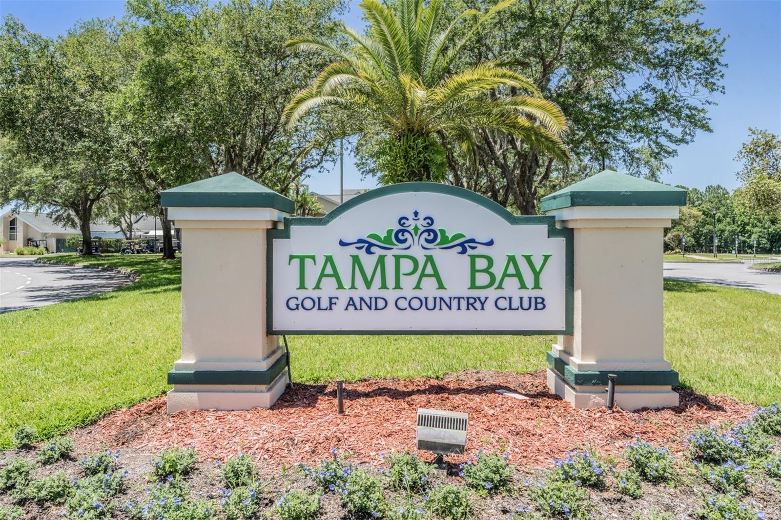 10412 OLD TAMPA BAY DR — photo 54