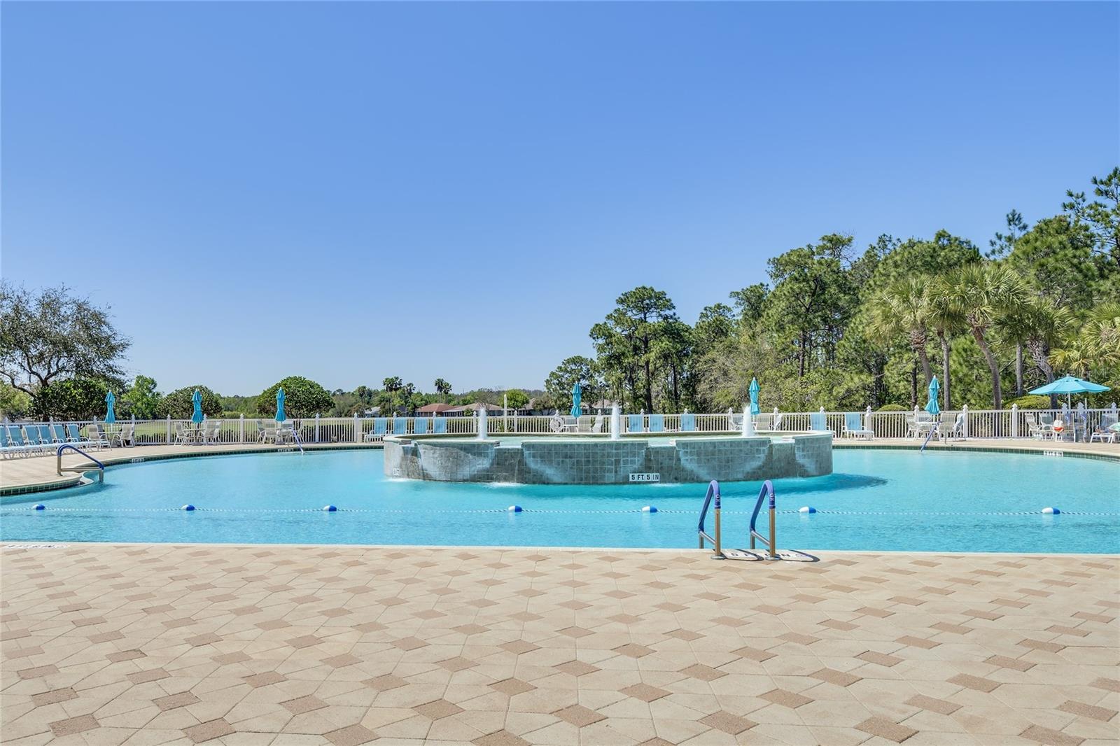10412 OLD TAMPA BAY DR — photo 39