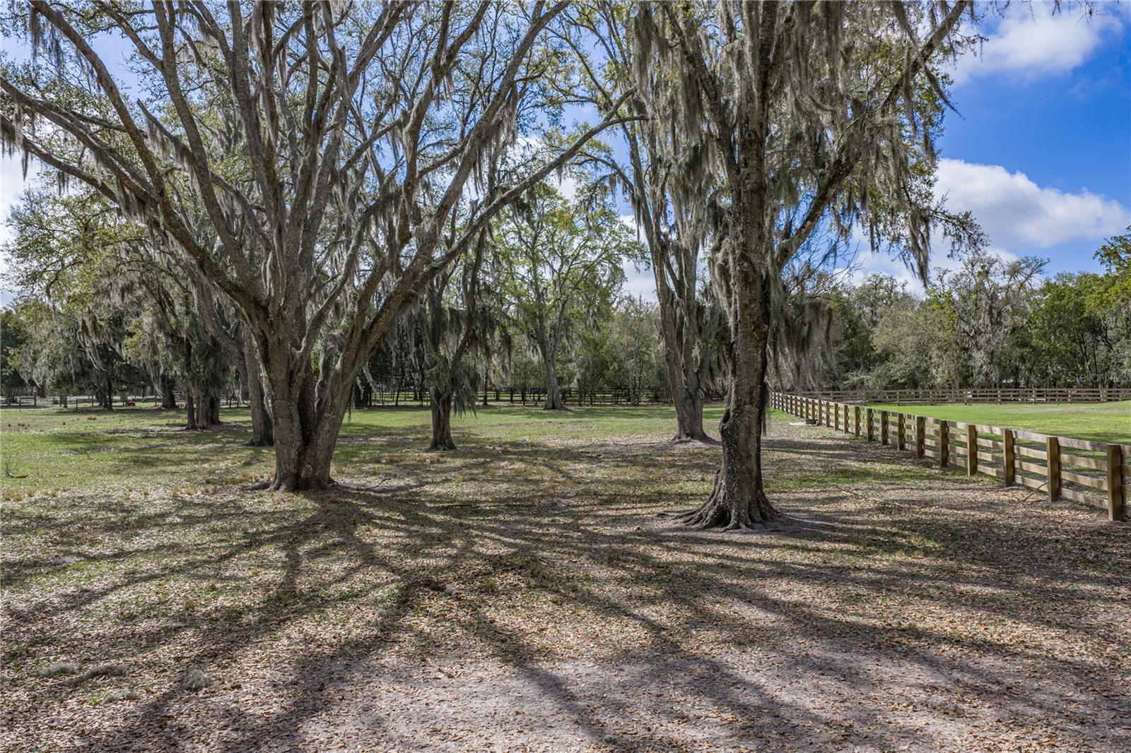 15131 BELLAMY BROTHERS BLVD — photo 91