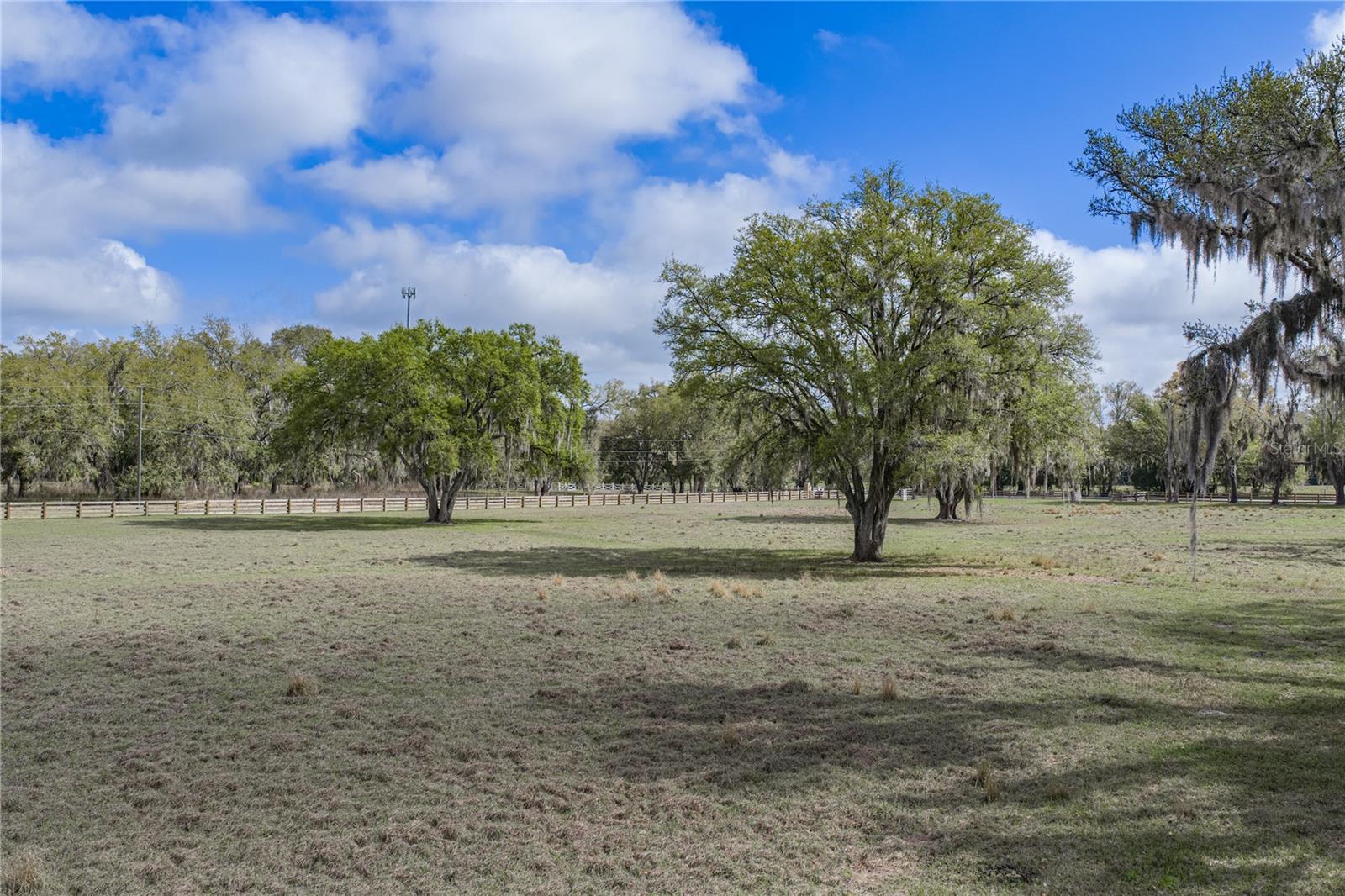 15131 BELLAMY BROTHERS BLVD — photo 87
