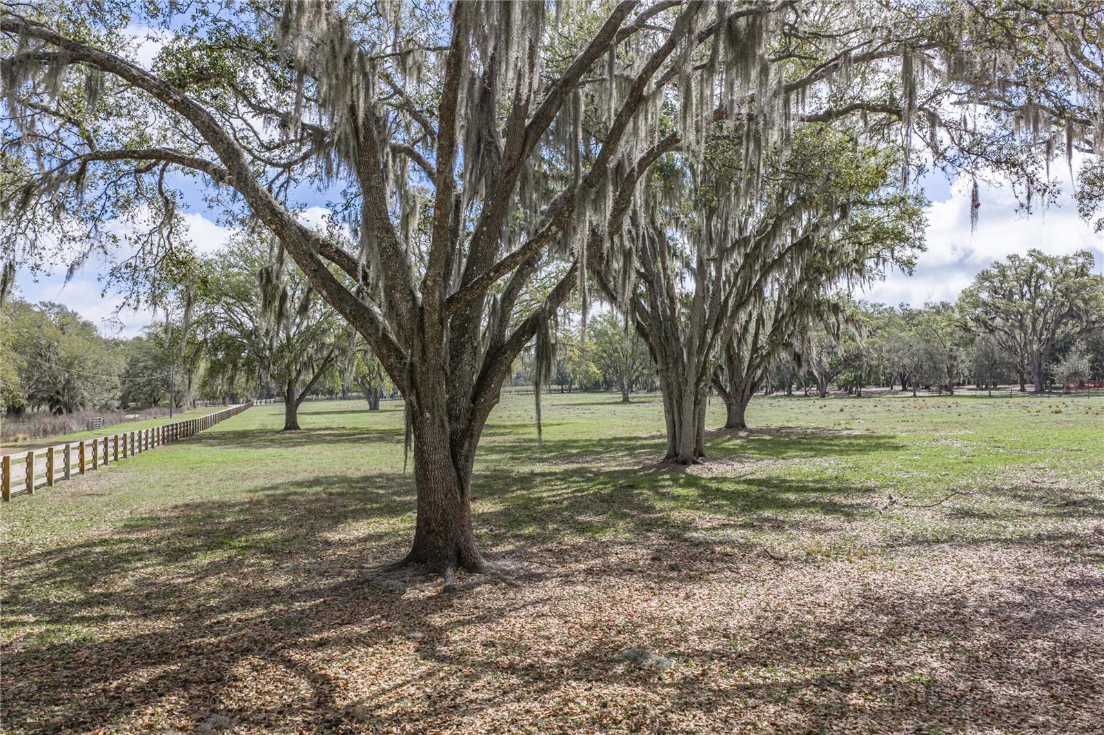 15131 BELLAMY BROTHERS BLVD — photo 84