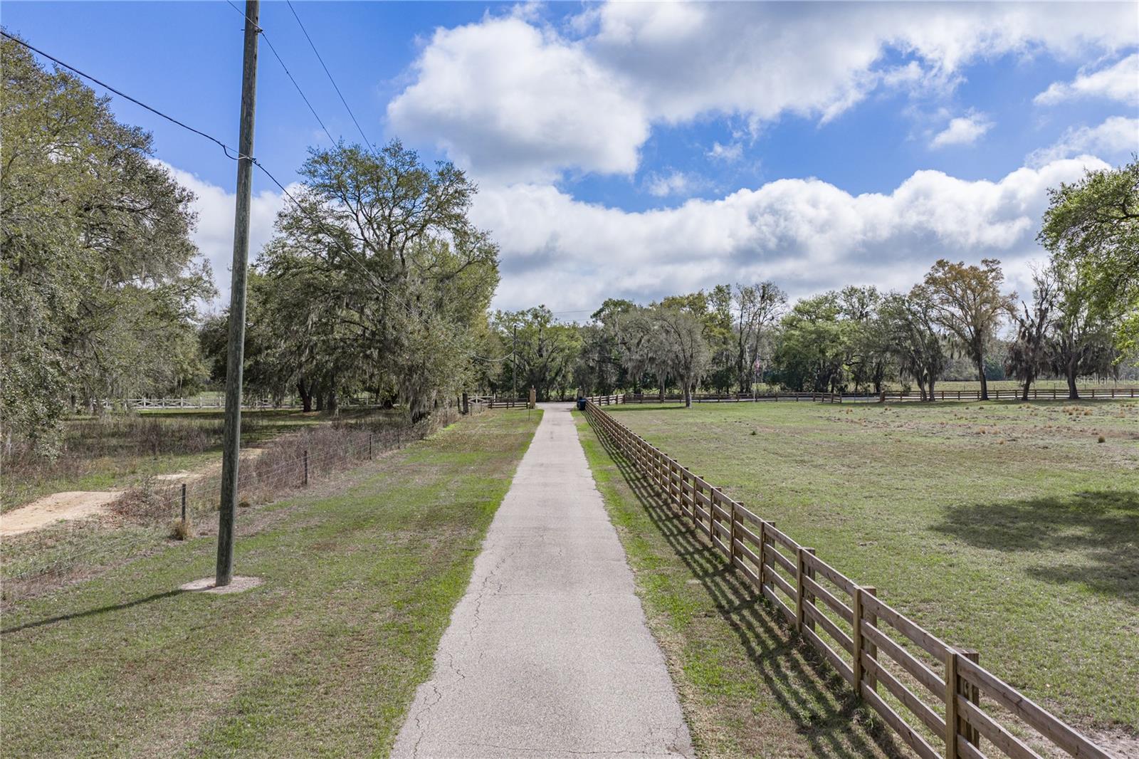 15131 BELLAMY BROTHERS BLVD — photo 92