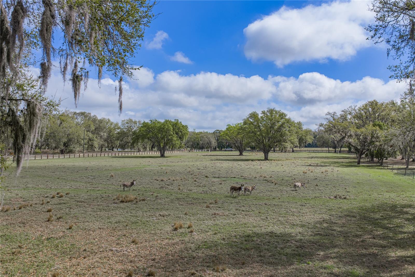 15131 BELLAMY BROTHERS BLVD — photo 89