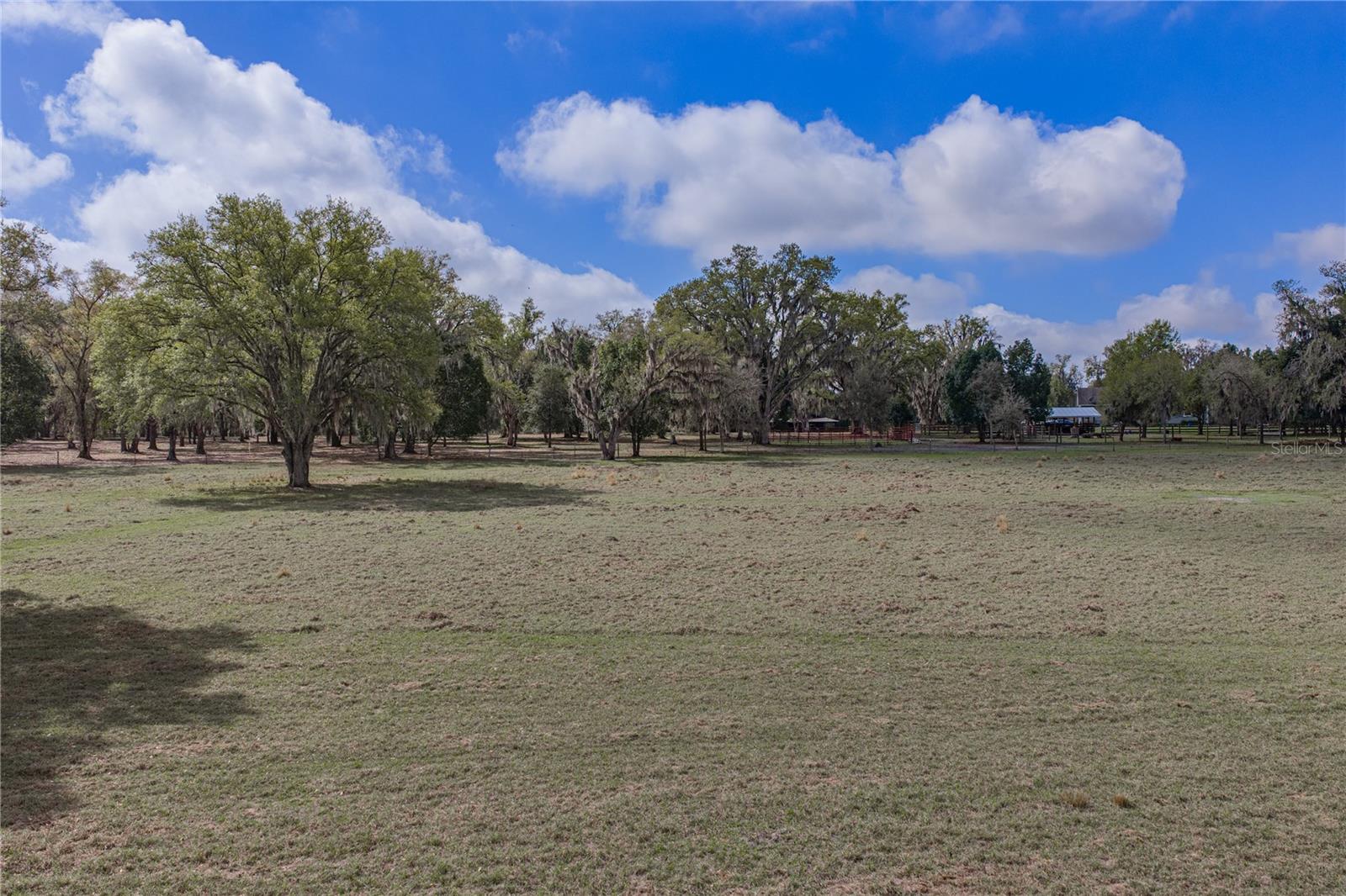 15131 BELLAMY BROTHERS BLVD — photo 86