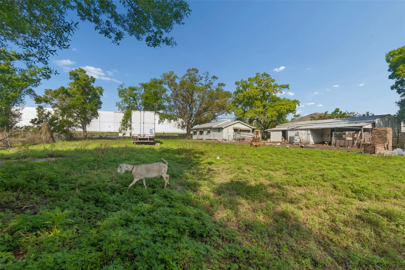 6213 ORIENT RD — photo 39