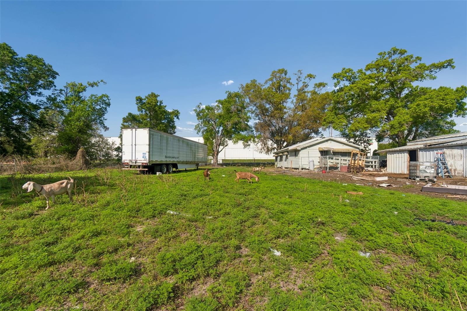 6213 ORIENT RD — photo 38