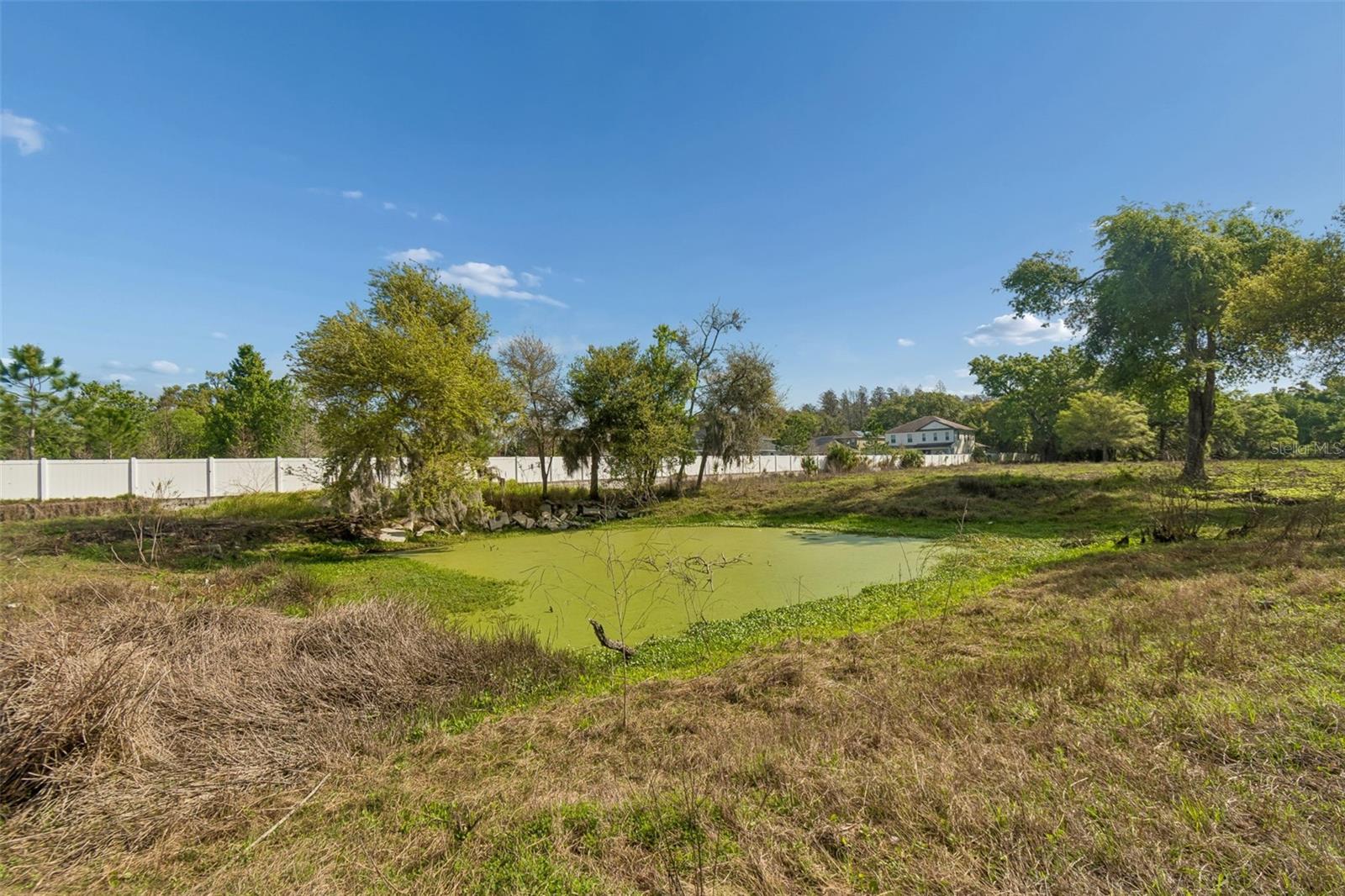 6213 ORIENT RD — photo 46