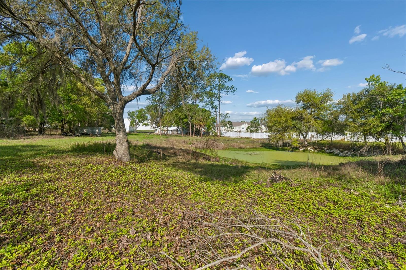 6213 ORIENT RD — photo 47