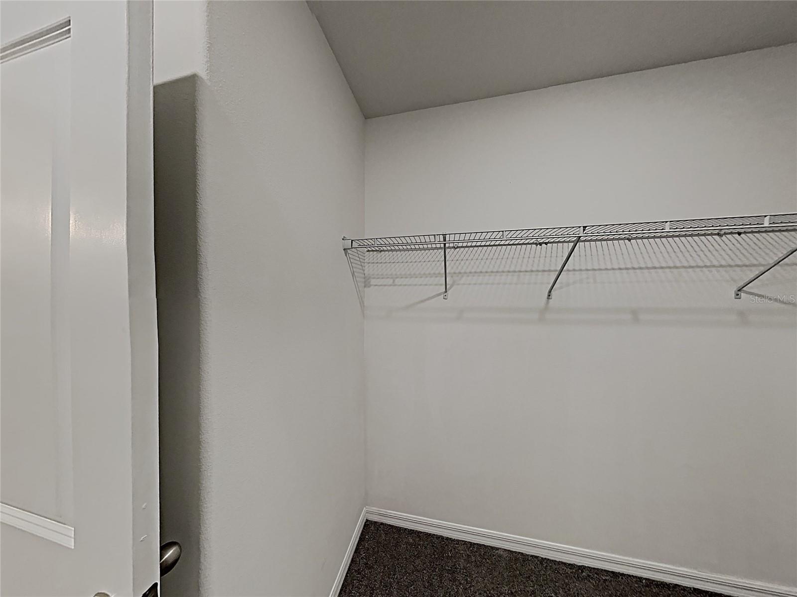15320 BROAD BRUSH DR — photo 28