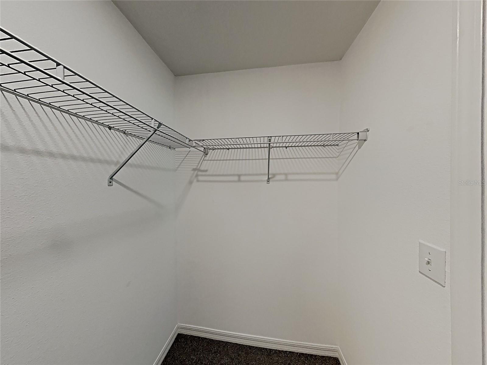 15320 BROAD BRUSH DR — photo 48