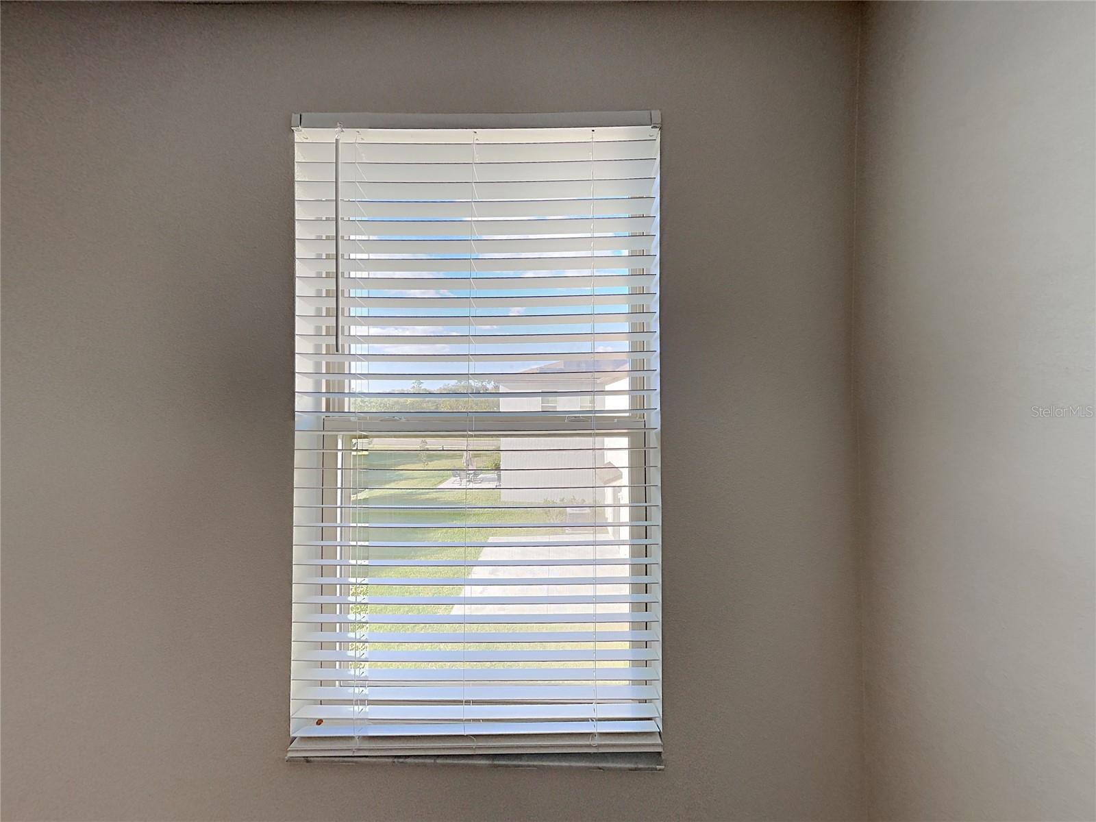 15320 BROAD BRUSH DR — photo 18