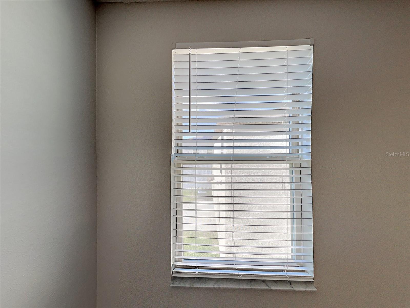 15320 BROAD BRUSH DR — photo 21
