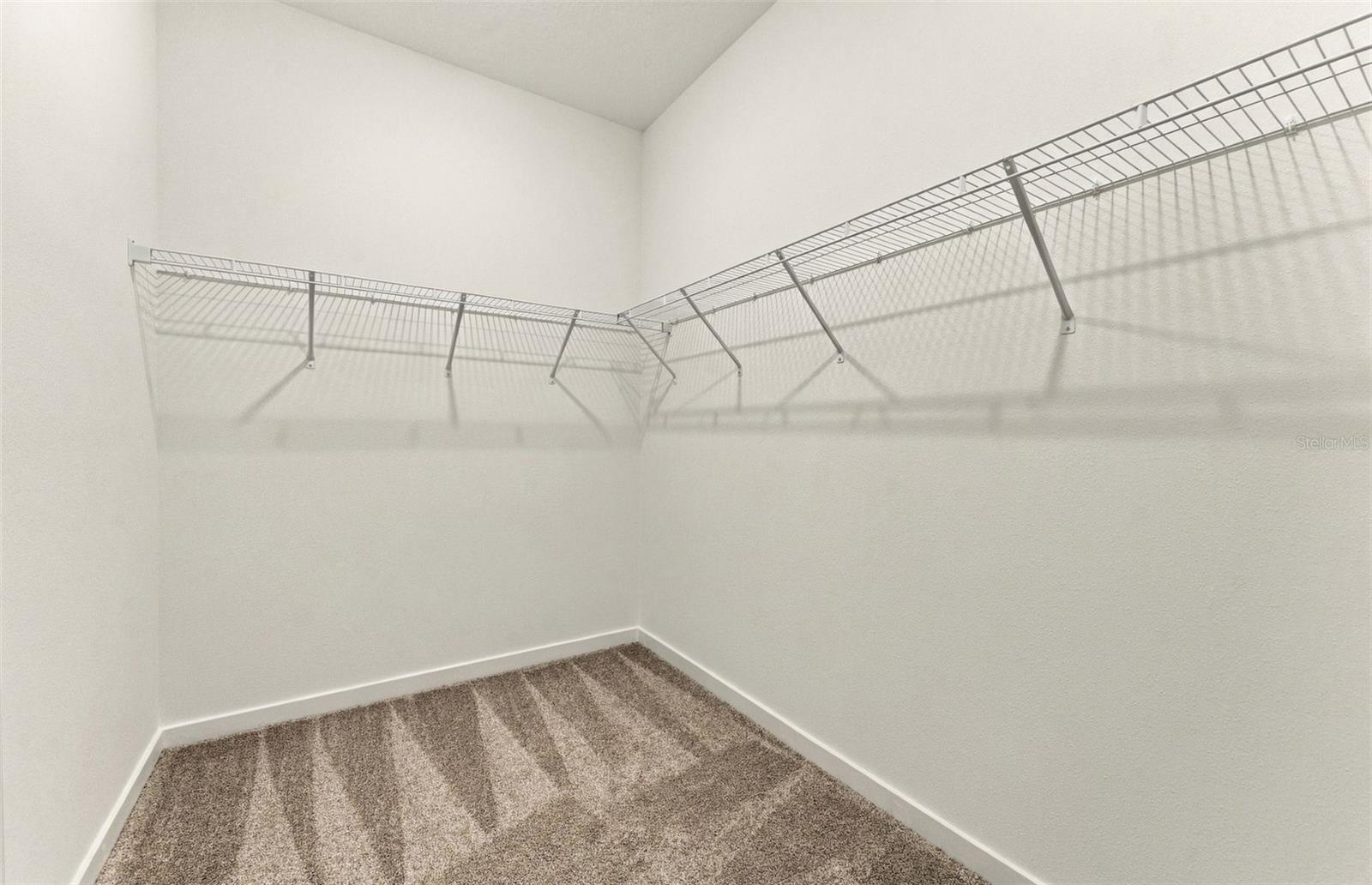10045 TRELLIS VINE WAY — photo 10