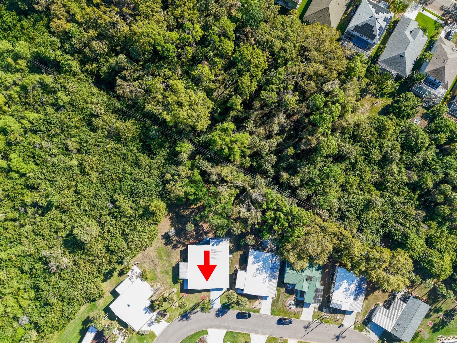5910 MAJESTIC WAY — photo 46