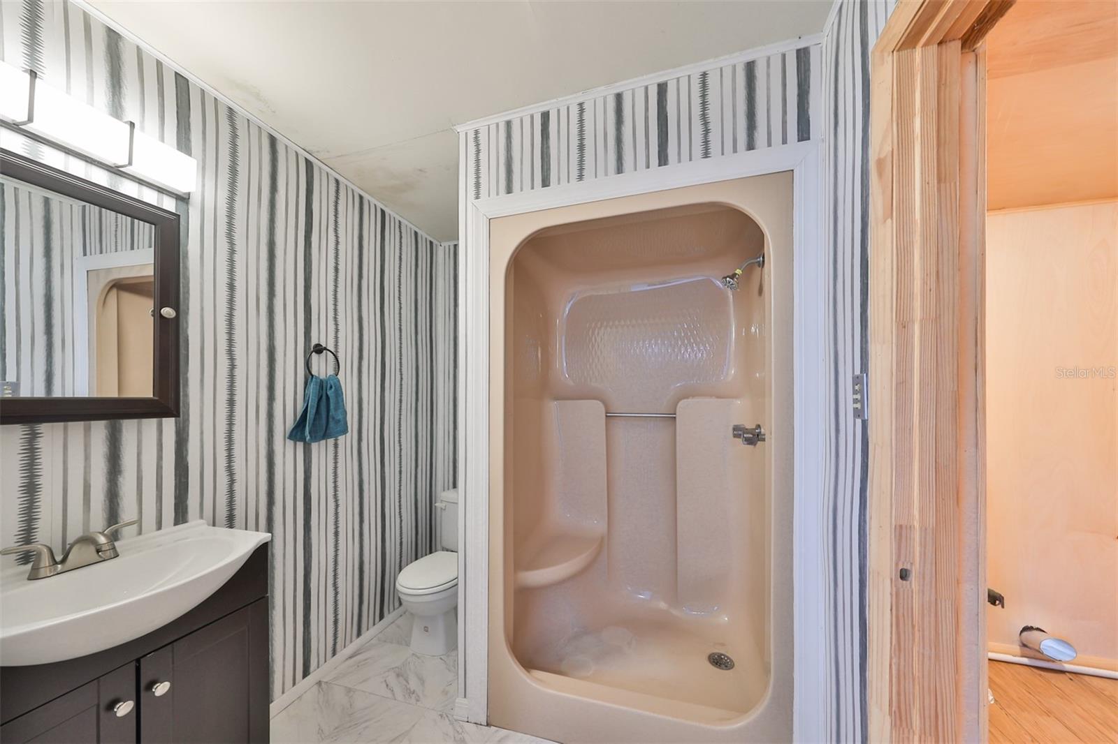3908 W WALLACE AVE — photo 17