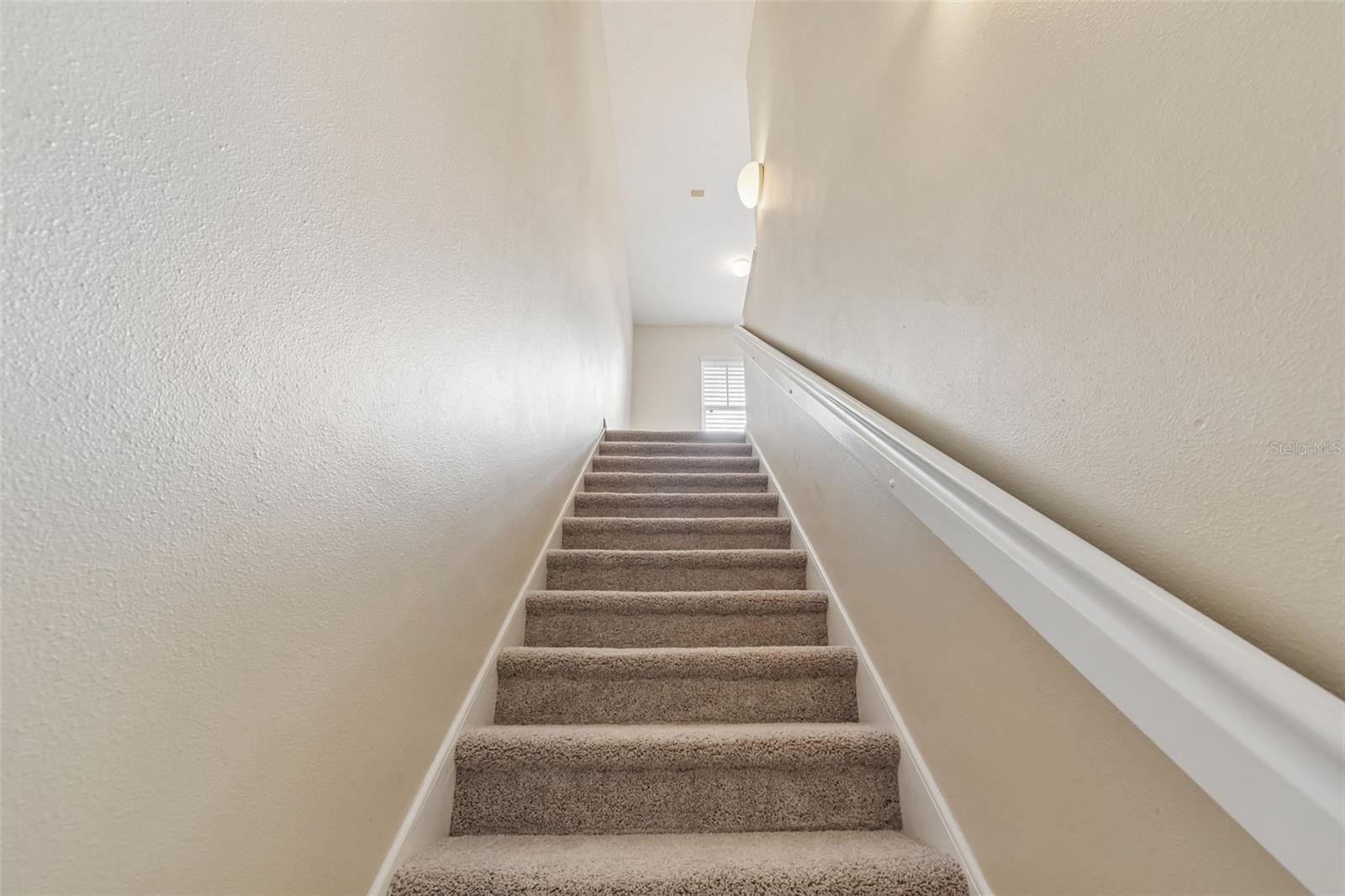 20112 INDIAN ROSEWOOD DR — photo 33