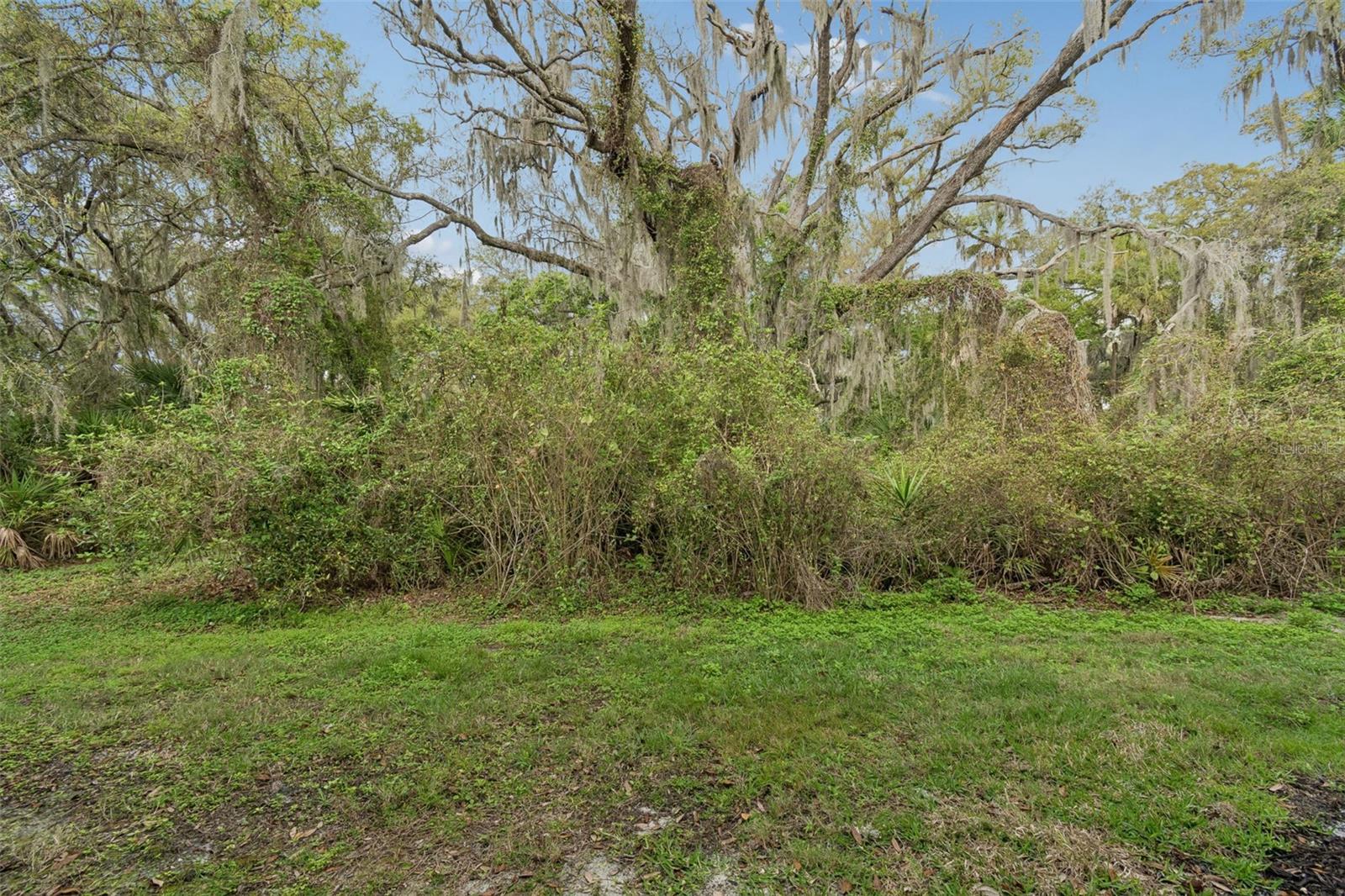 20112 INDIAN ROSEWOOD DR — photo 62