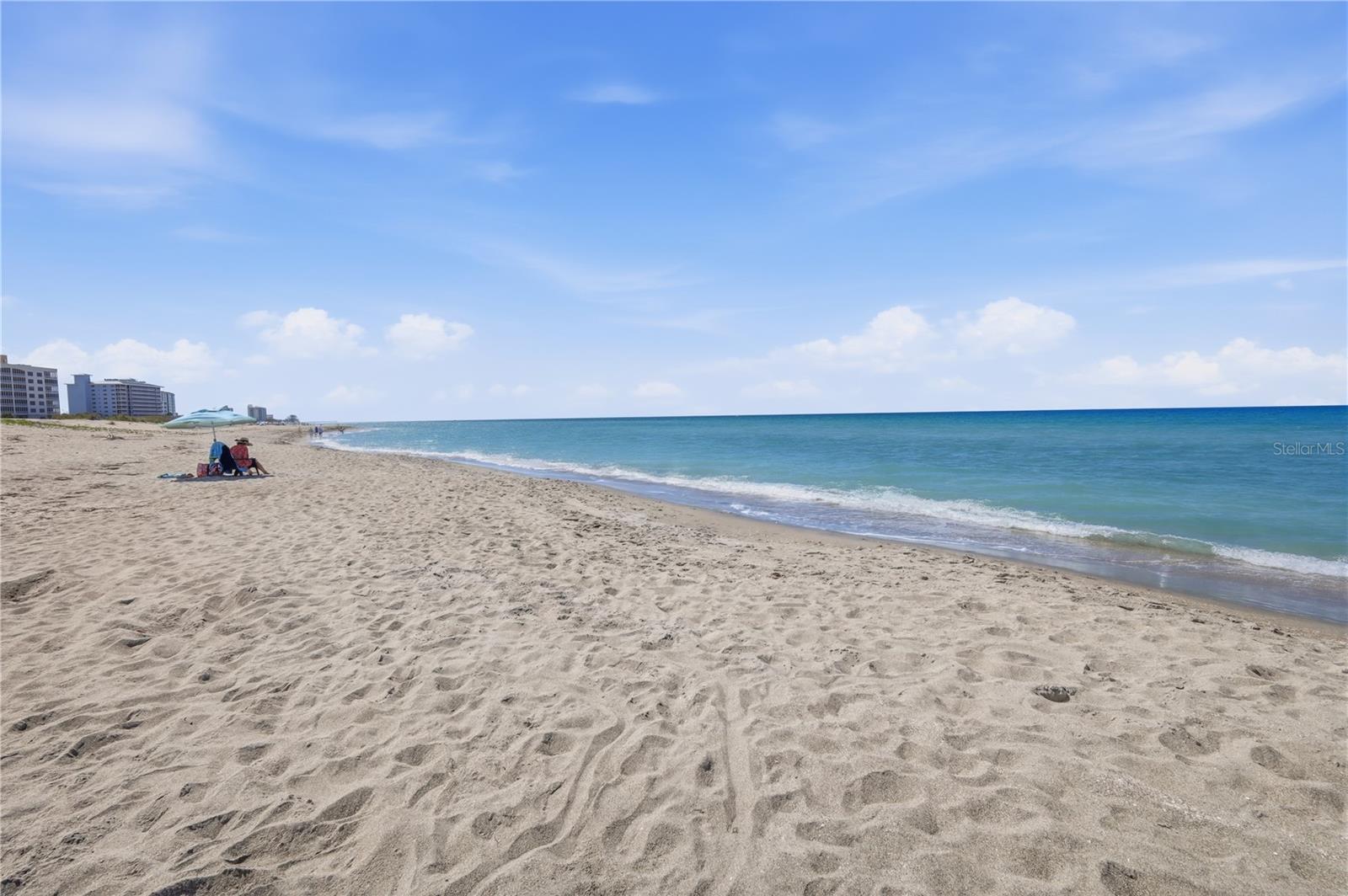 1150 TARPON CENTER DR #1G — photo 43
