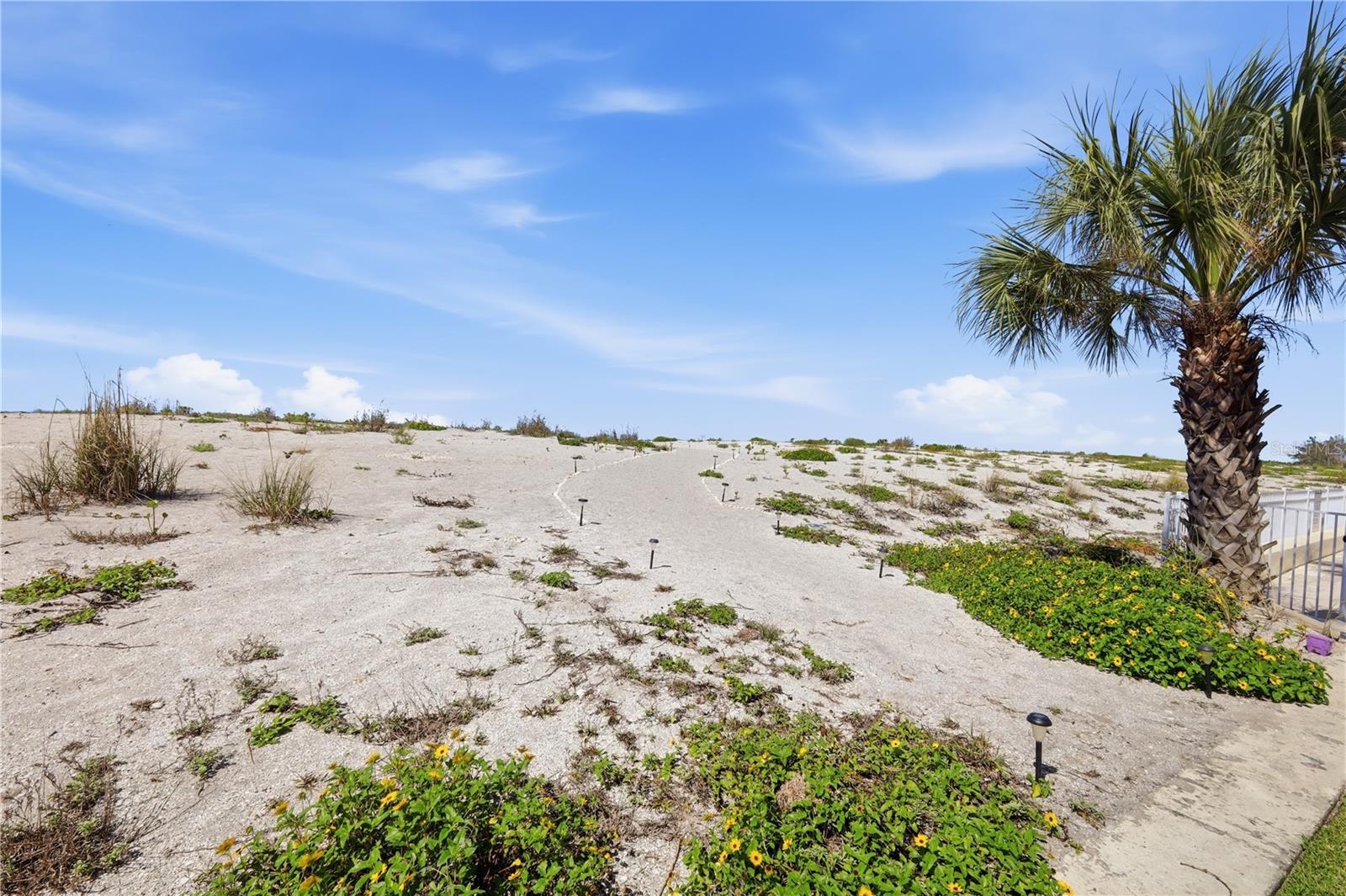 1150 TARPON CENTER DR #1G — photo 42