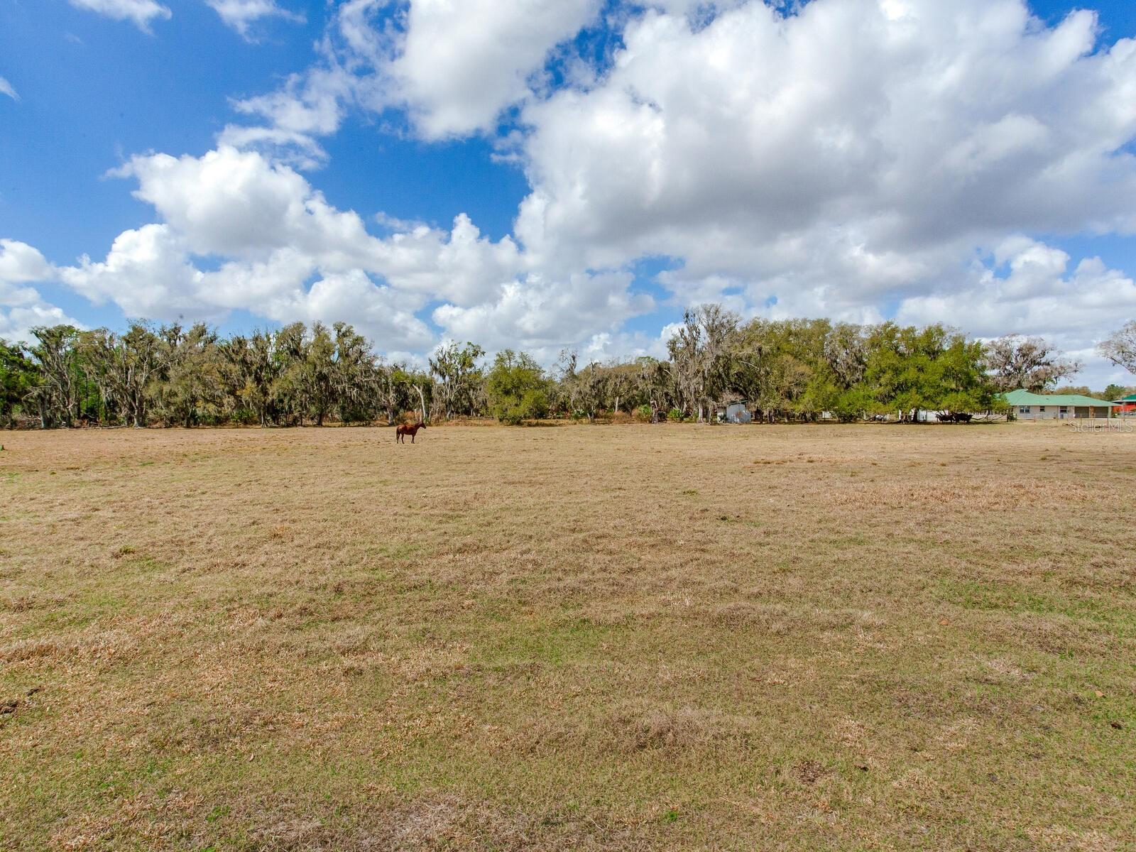 0 S CR 39 — photo 2