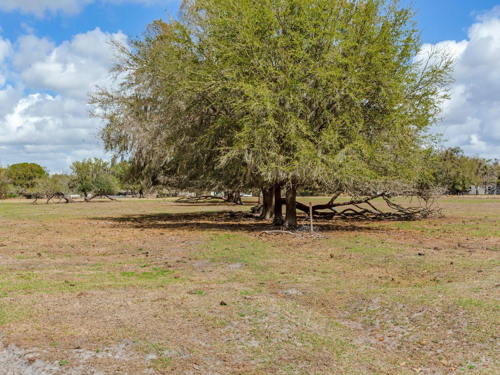 0 S CR 39 — photo 12
