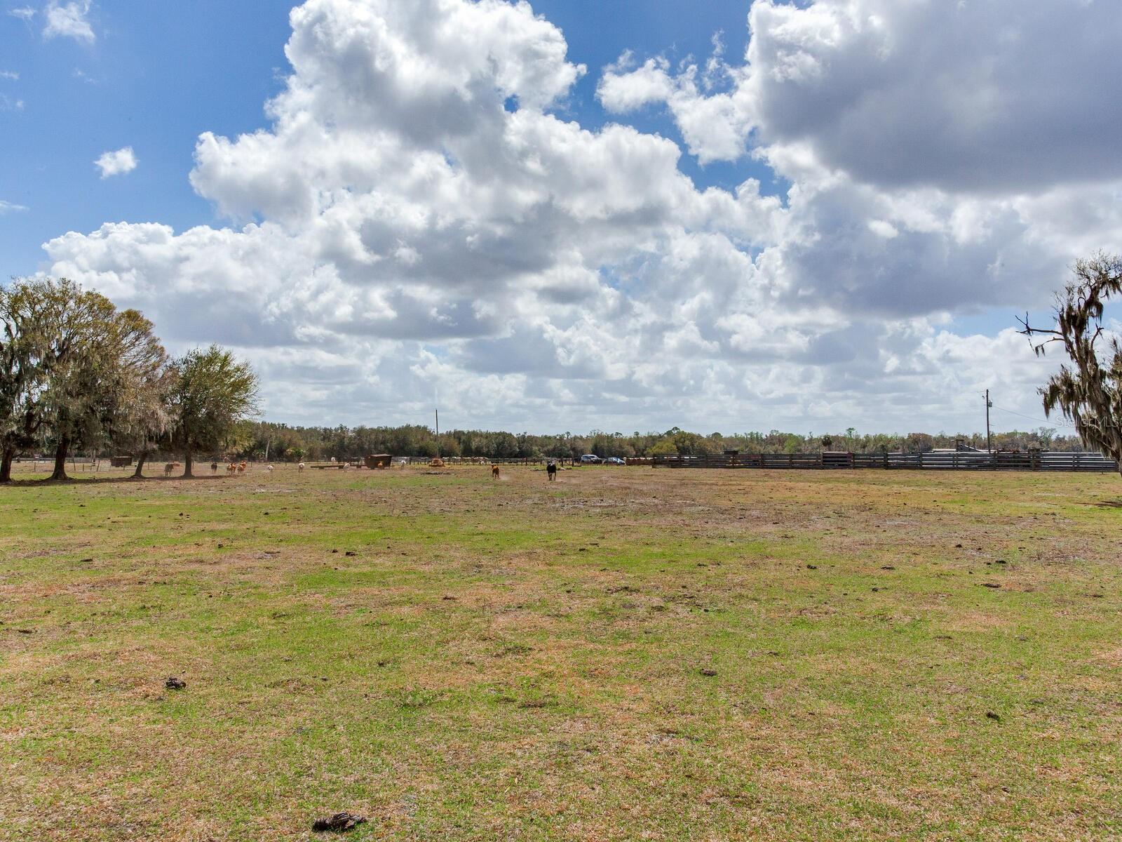 0 S CR 39 — photo 8