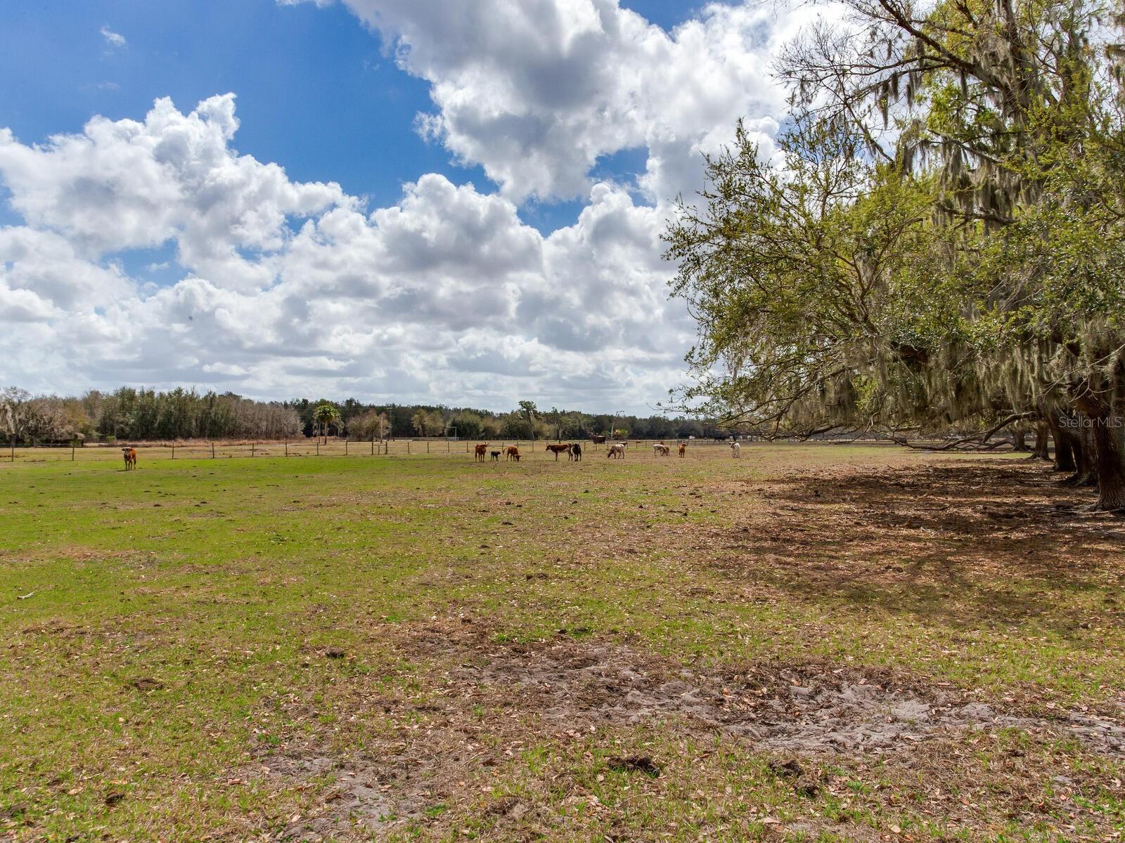 0 S CR 39 — photo 7
