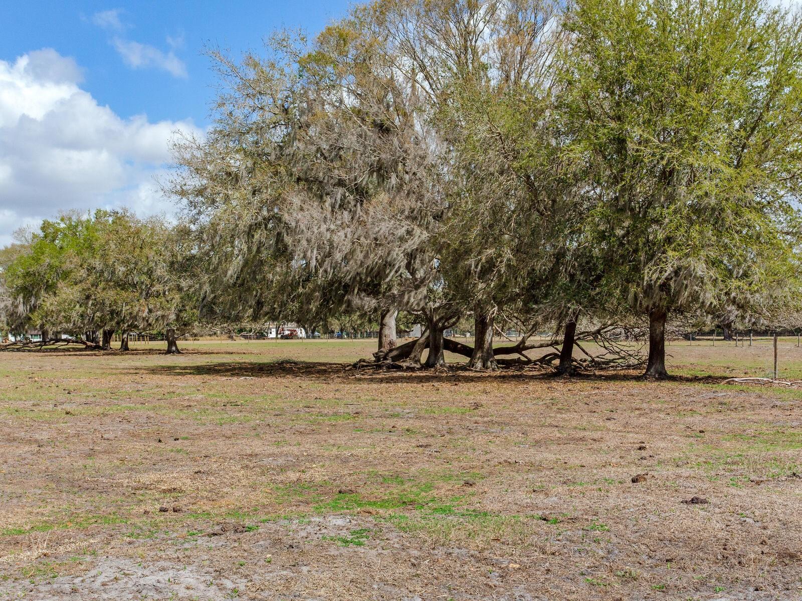 0 S CR 39 — photo 10