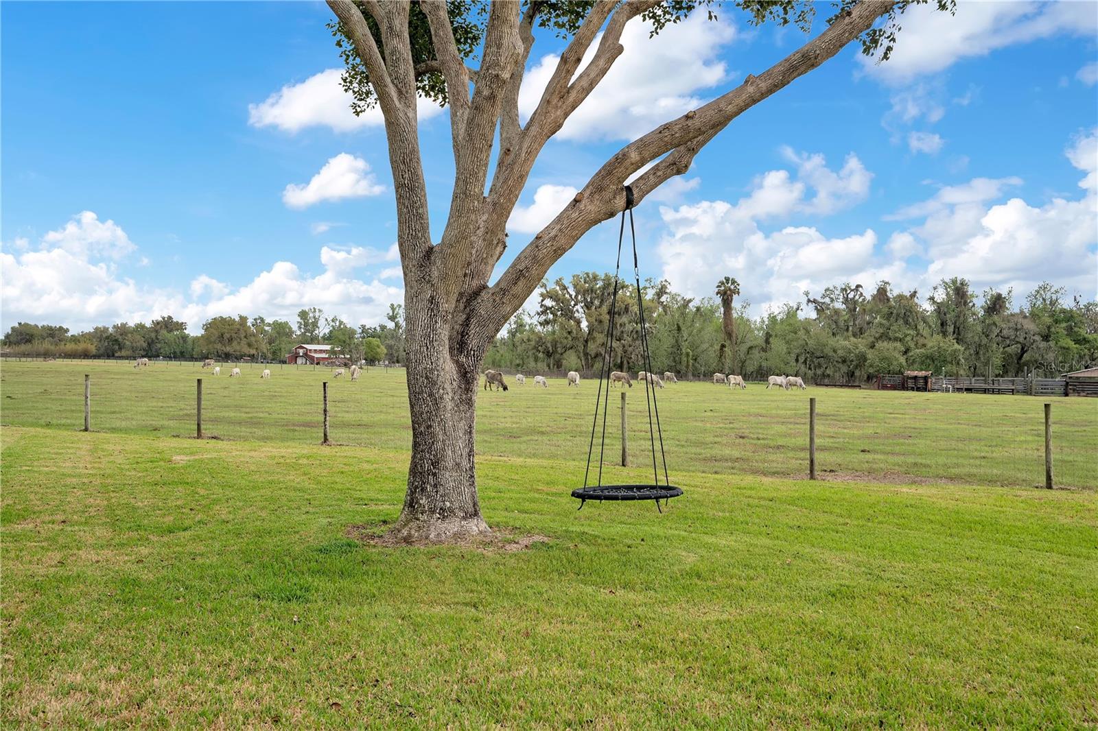 1401 BUELL CT — photo 49