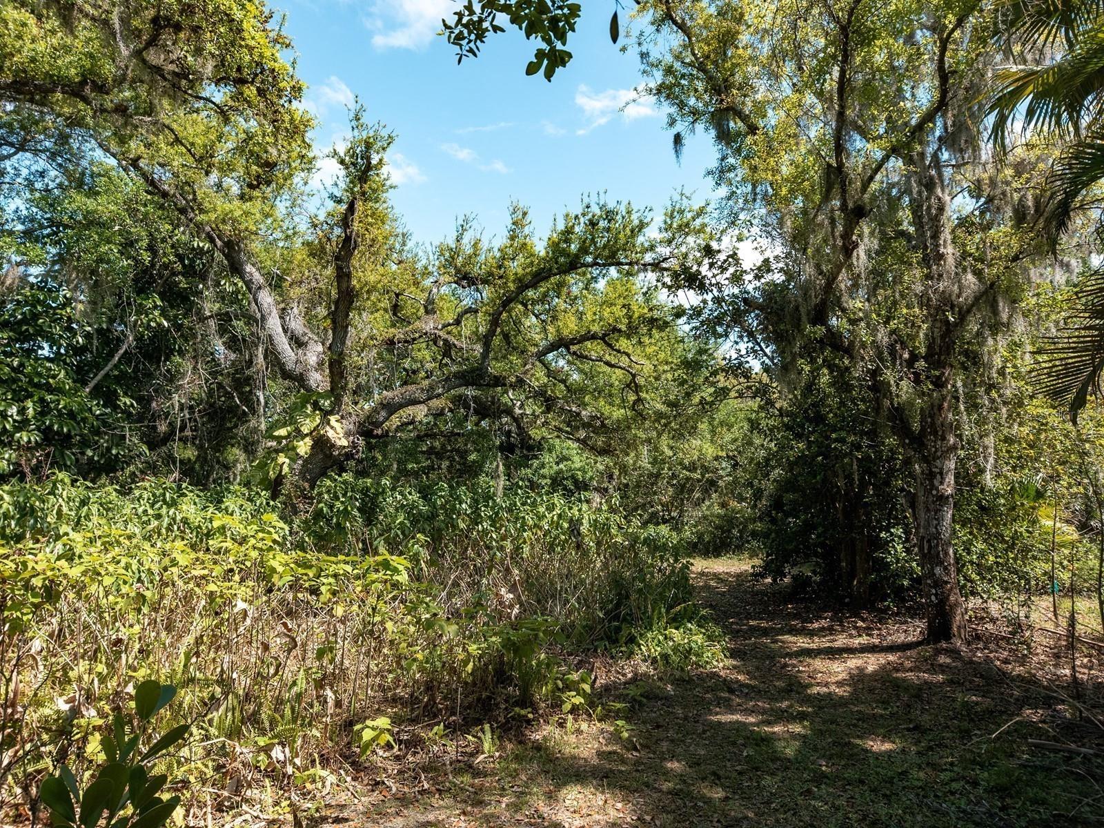 7311 PROCTOR RD — photo 52