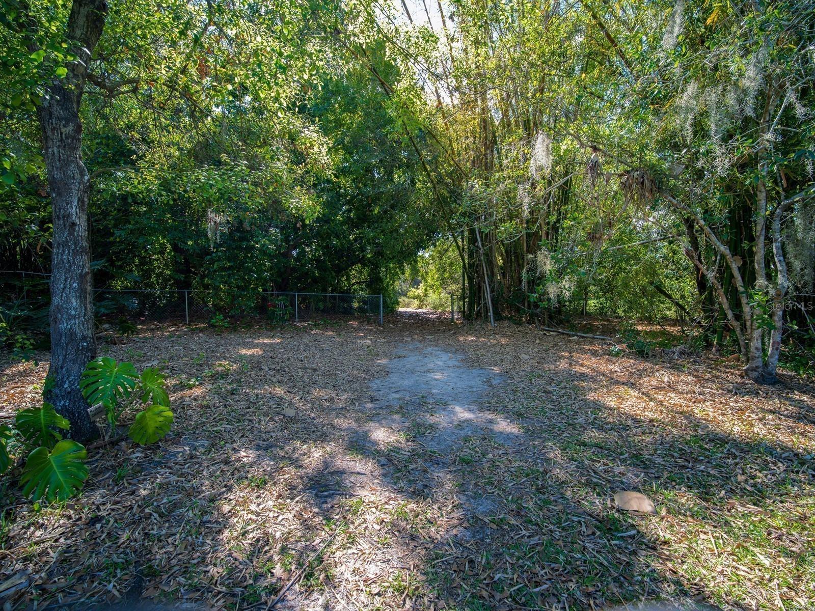 7311 PROCTOR RD — photo 53