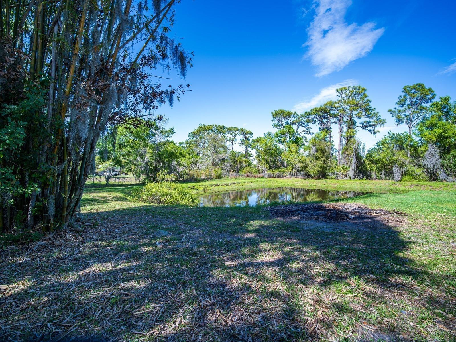 7311 PROCTOR RD — photo 47