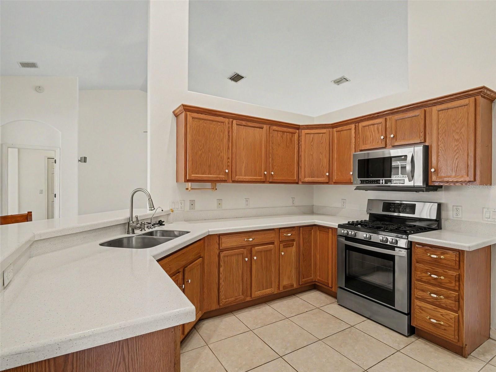 535 PLANTERS MANOR WAY — photo 16