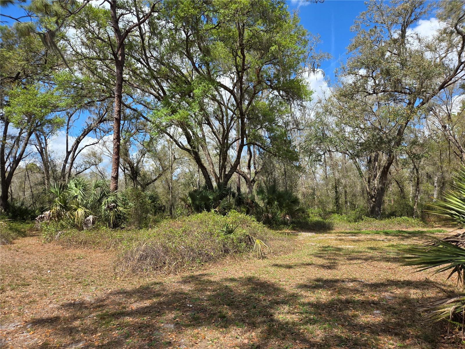 12503 AVERY RD — photo 10