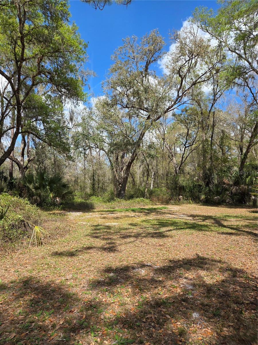 12503 AVERY RD — photo 11