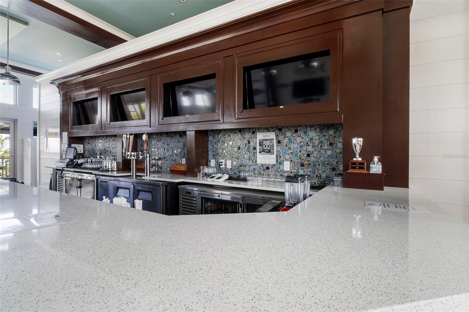 289 SAPPHIRE LAKE DR #202 — photo 42