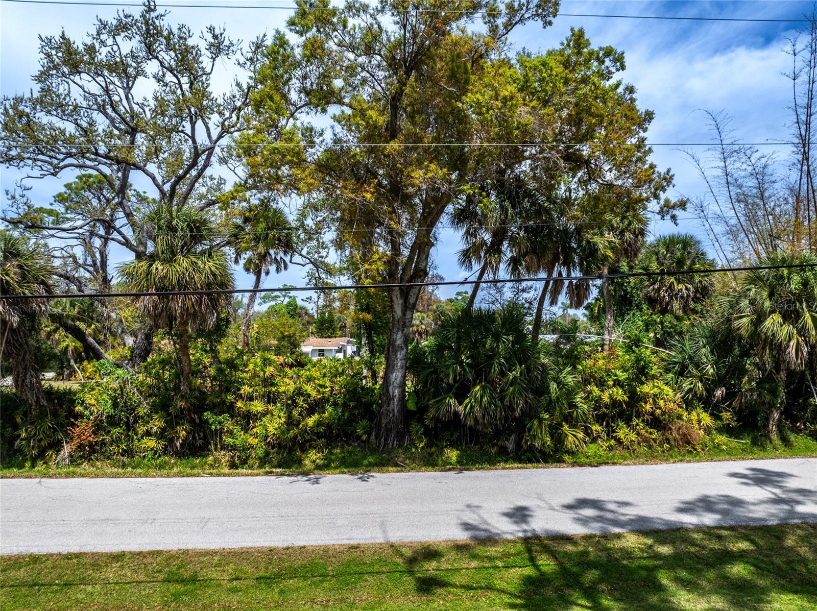 PINEAPPLE ST — photo 15