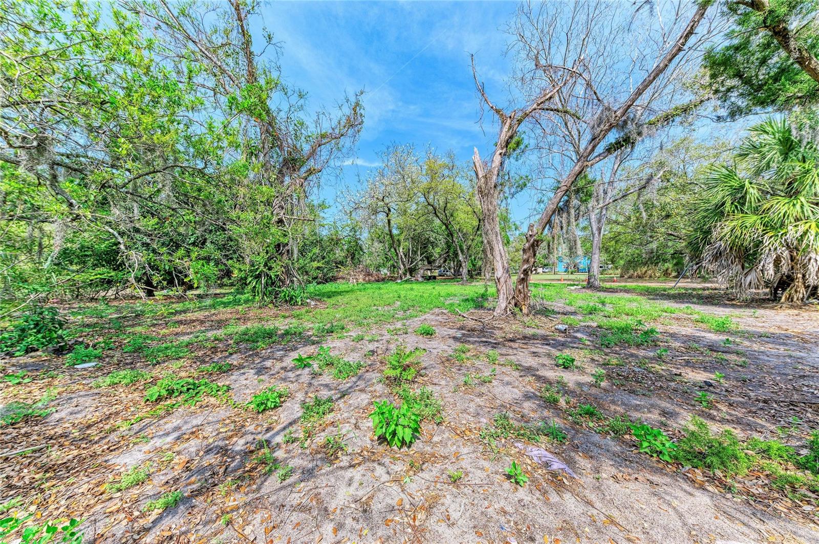 820 S BENEVA RD — photo 6